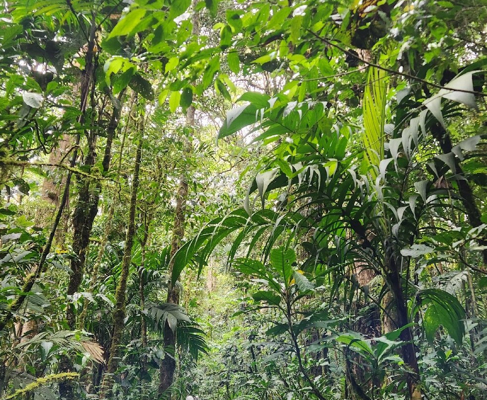 AventurasExtremas-渥肯必去景点