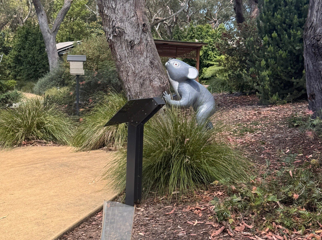 Port Stephens Koala Sanctuary-One Mile必去景点