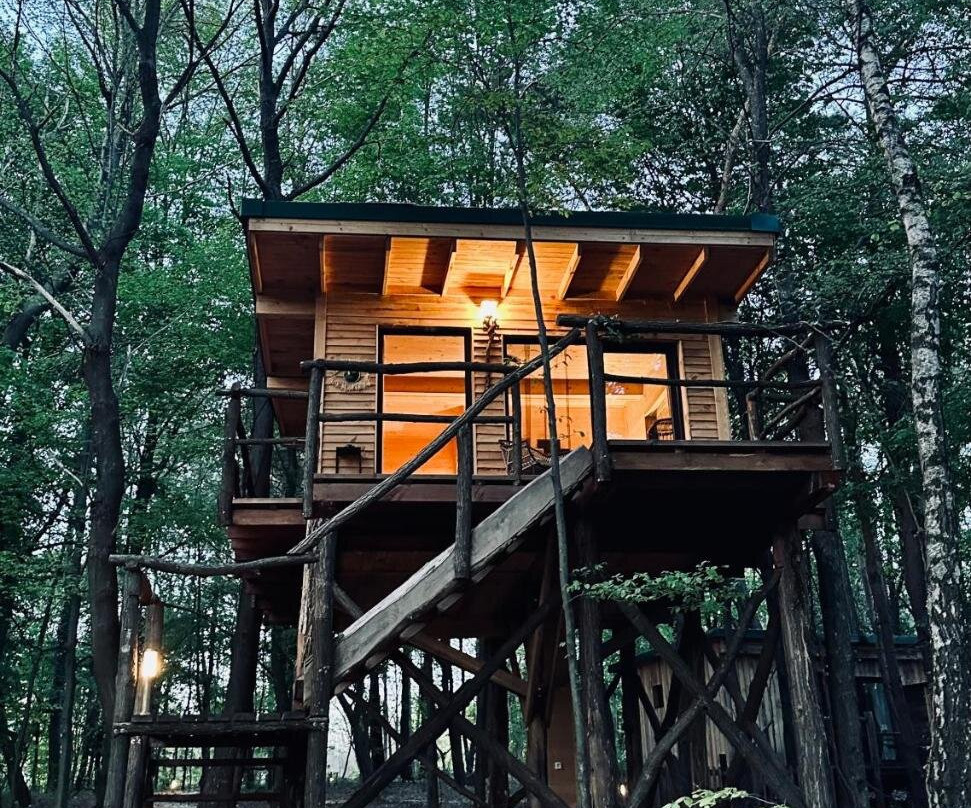 Living Forest Resort