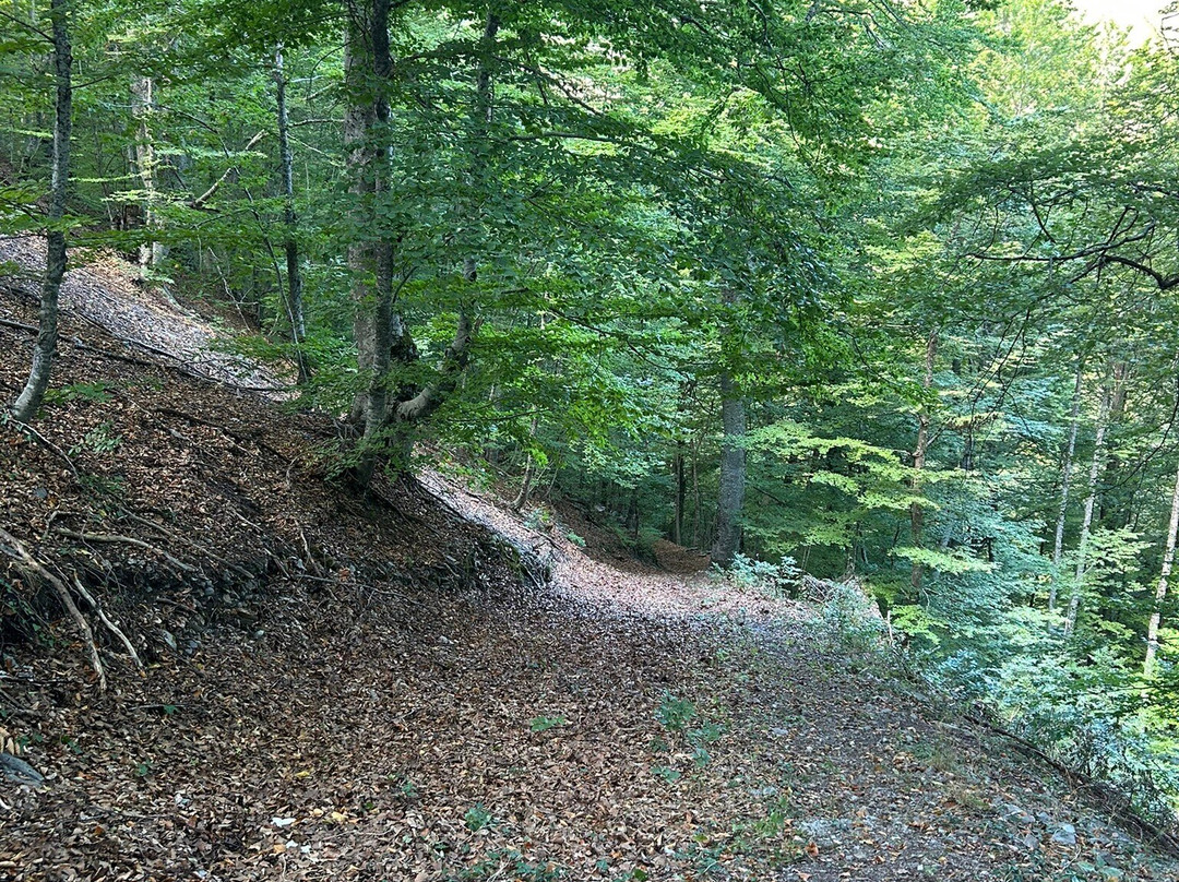 Olympos Trek-Larissa必去景点