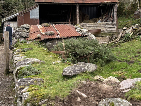 Molly Gallivan's Cottage & Traditional Farm-Releagh必去景点