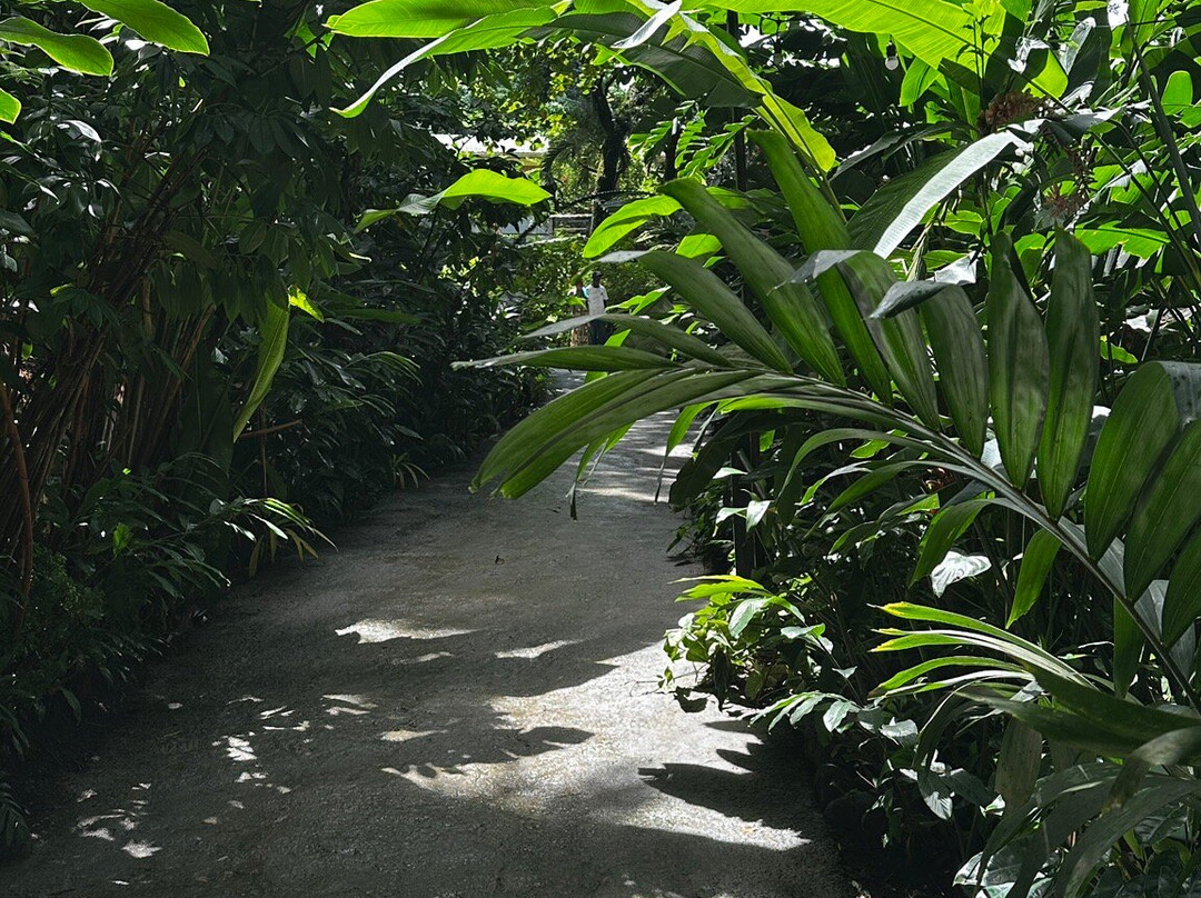 Annandale Falls-St. George's必去景点