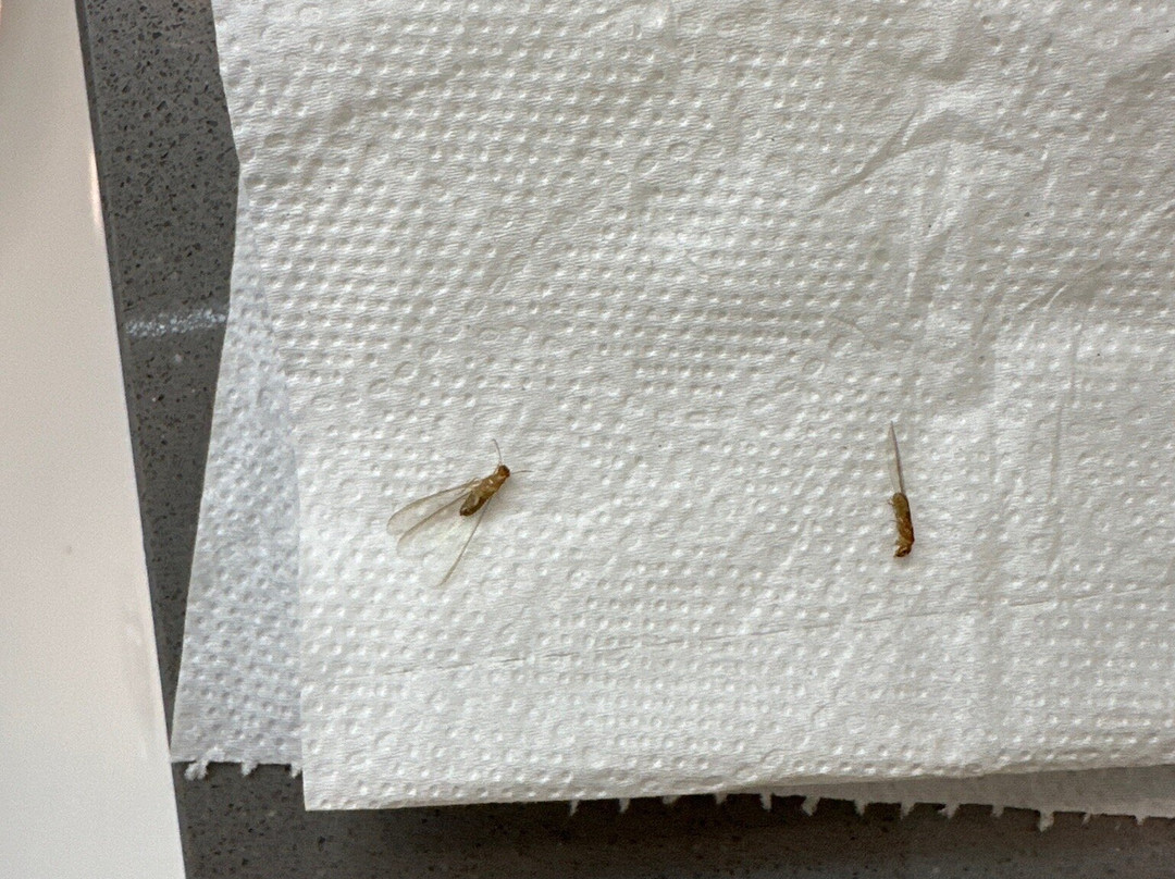 Waterside Suites & Marina主图