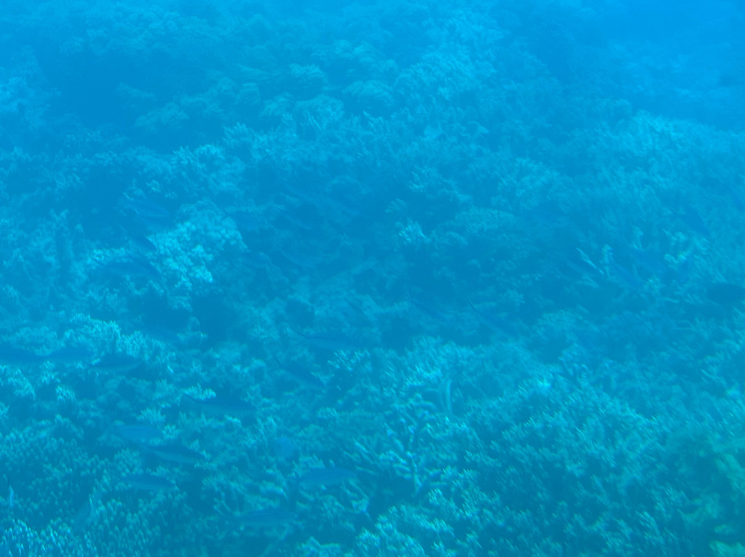 Nautilus Aviation-Garbutt必去景点