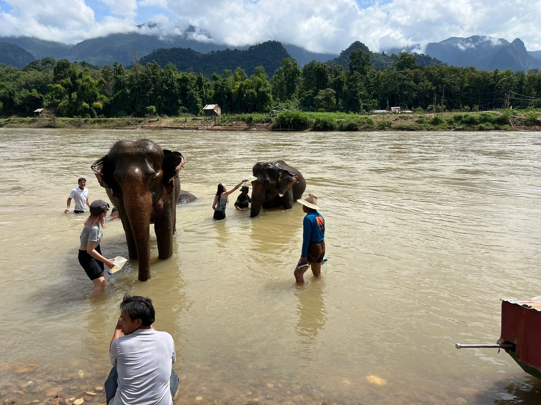 Elephant Village Sanctuary & Resort-琅勃拉邦必去景点
