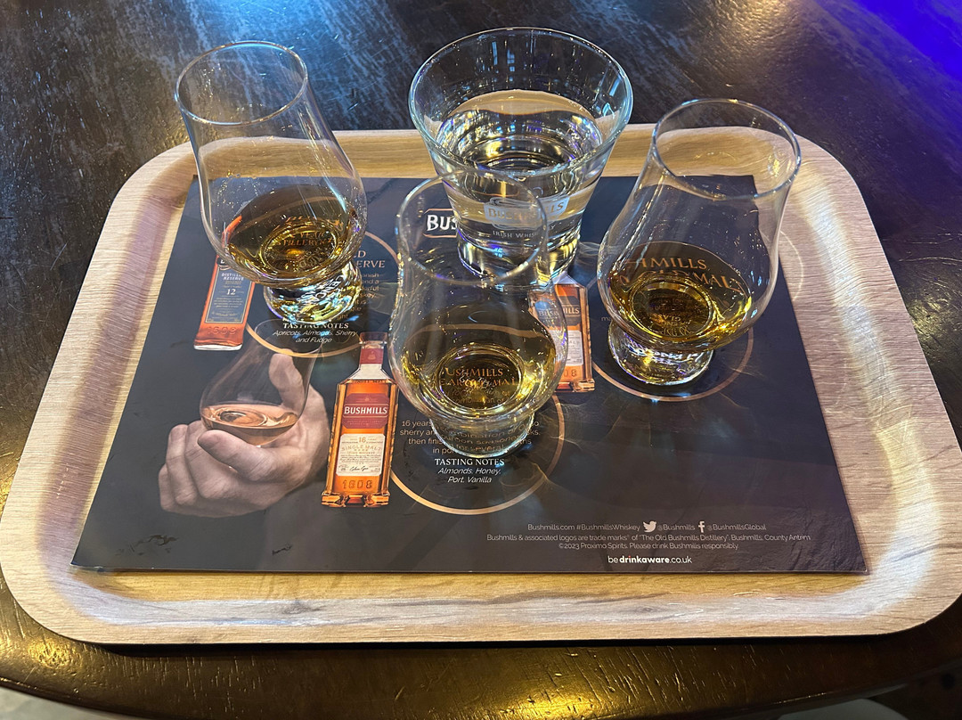 Giant Tours Ireland-贝尔法斯特必去景点