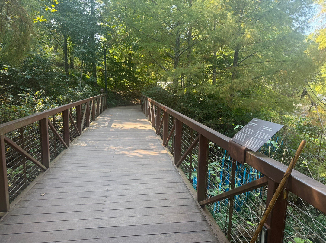 Frank Lloyd Wright's Bachman-Wilson House-本顿维尔必去景点
