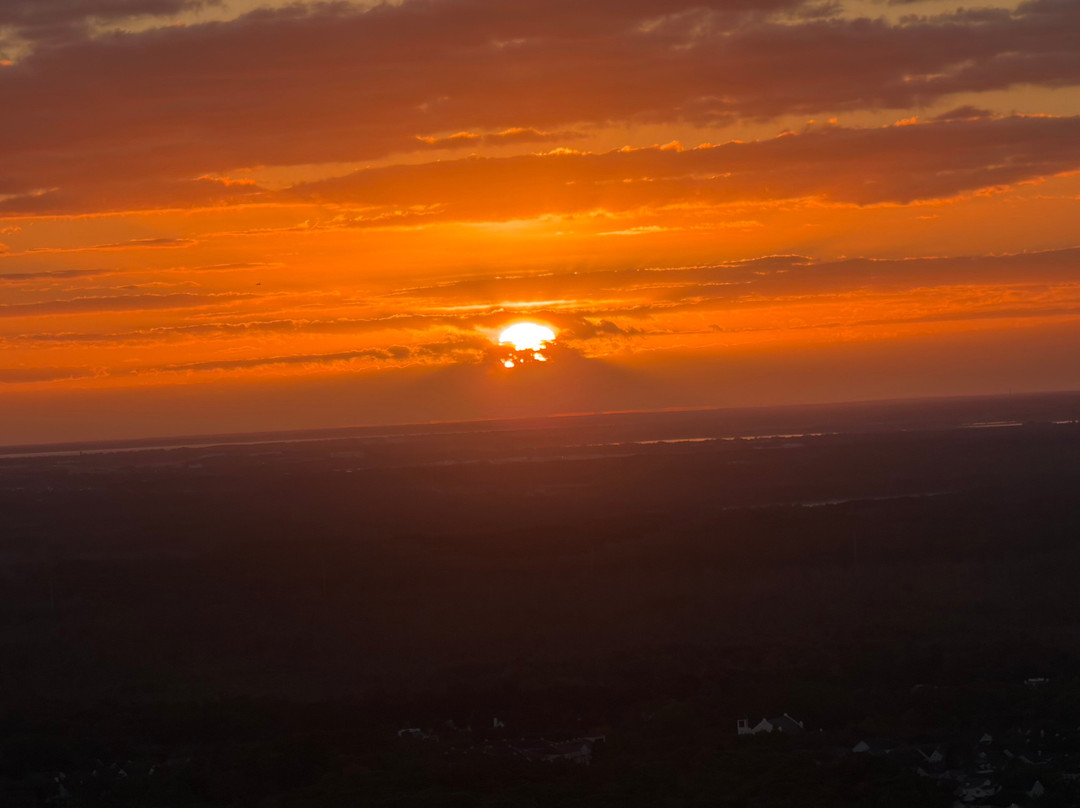 Bob's Balloons-奥兰多必去景点