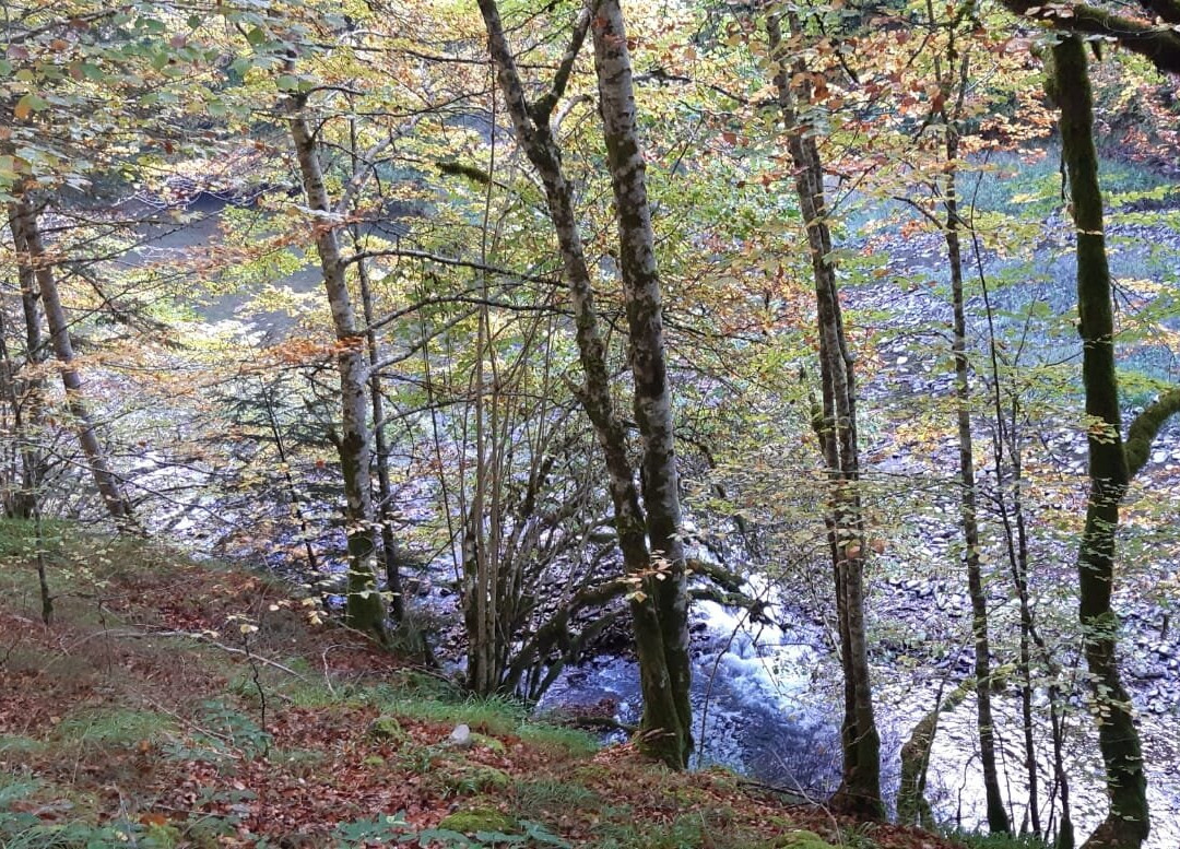 SNÖ Isaba Hotel & Apartments主图