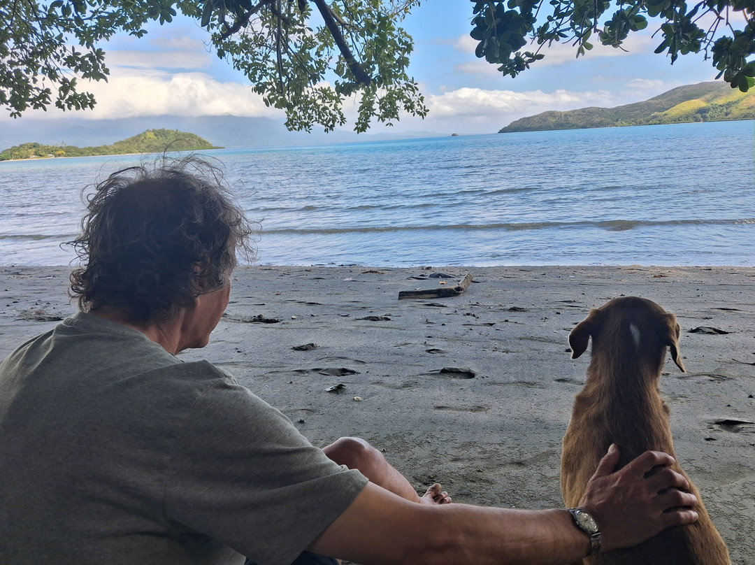 Dive Academy Fiji-Waiyevo必去景点