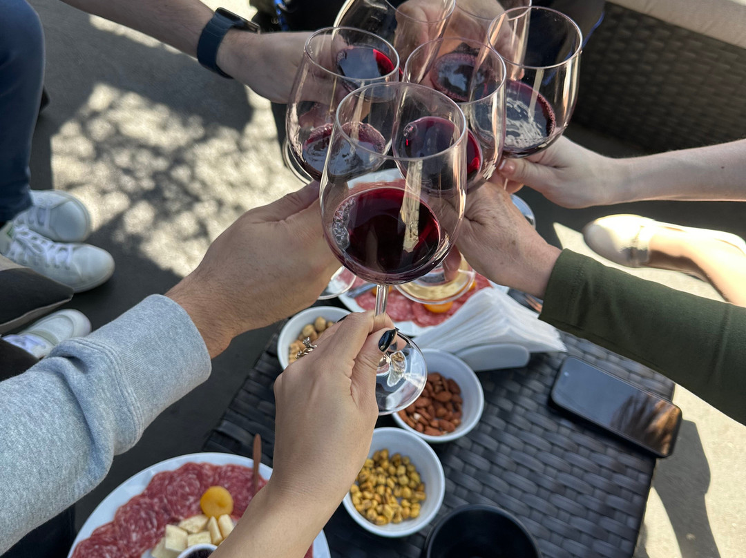 Loja - Dunamis Vinhos & Vinhedos-格拉玛多必去景点