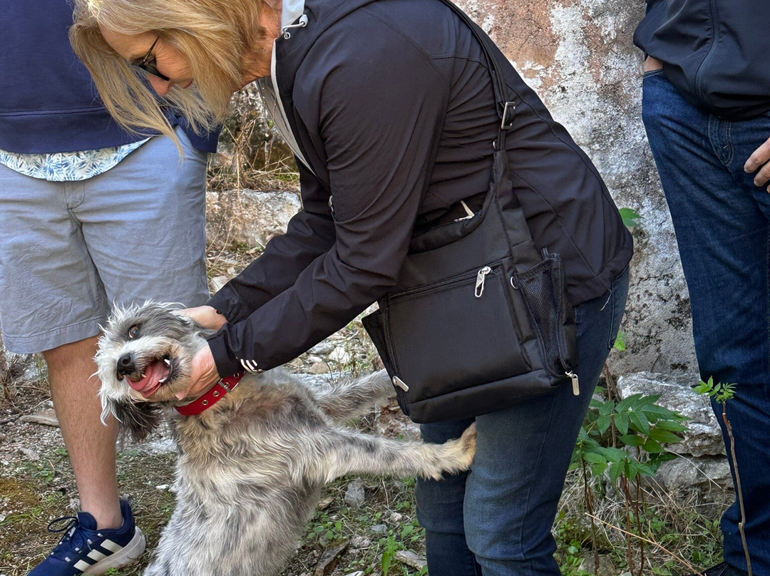 Footsteps of Farsa-Farsa必去景点