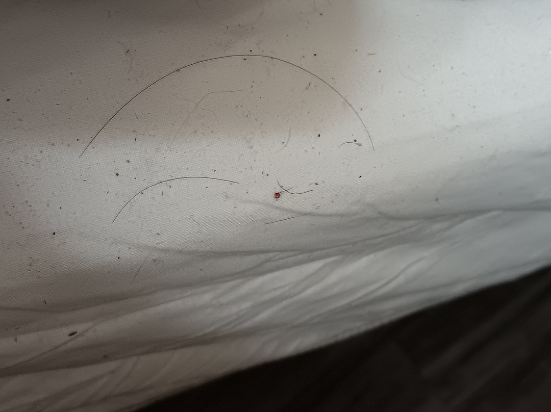 Quality Inn & Suites主图