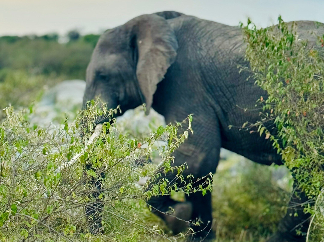 Earthlife Expeditions-阿鲁沙必去景点