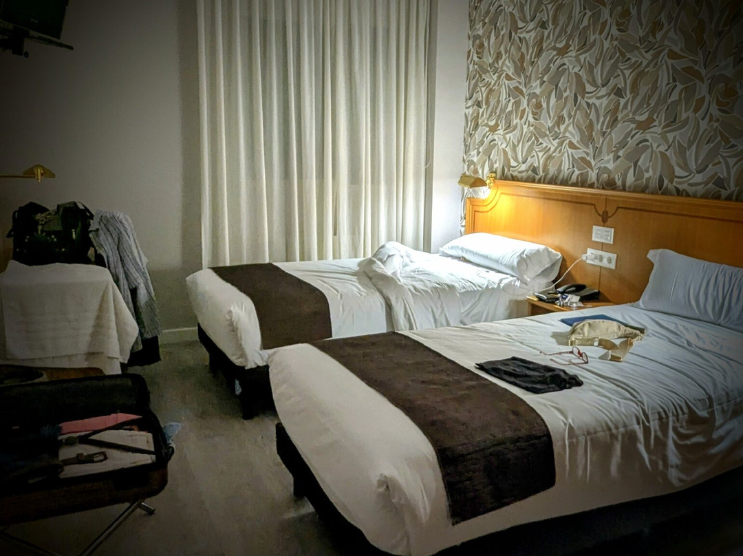 雷阿图罗酒店主图