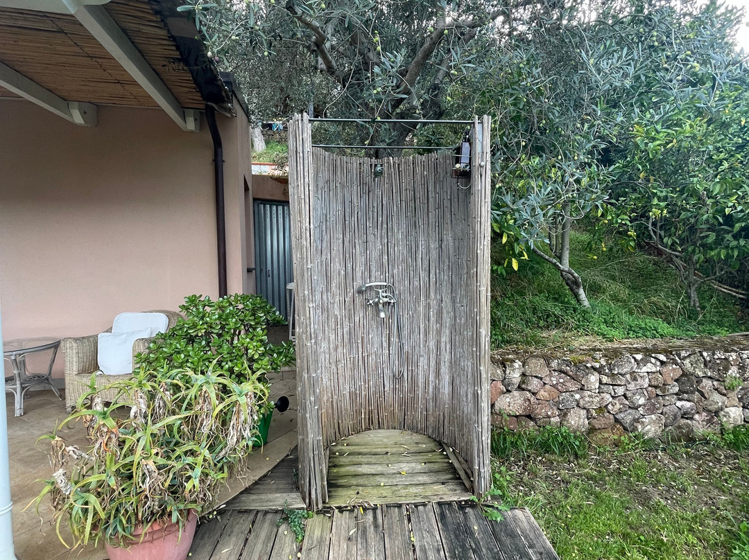 B&B Kapi Country主图