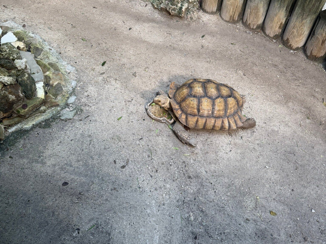 Crane Point Museum & Nature Center-马拉松必去景点