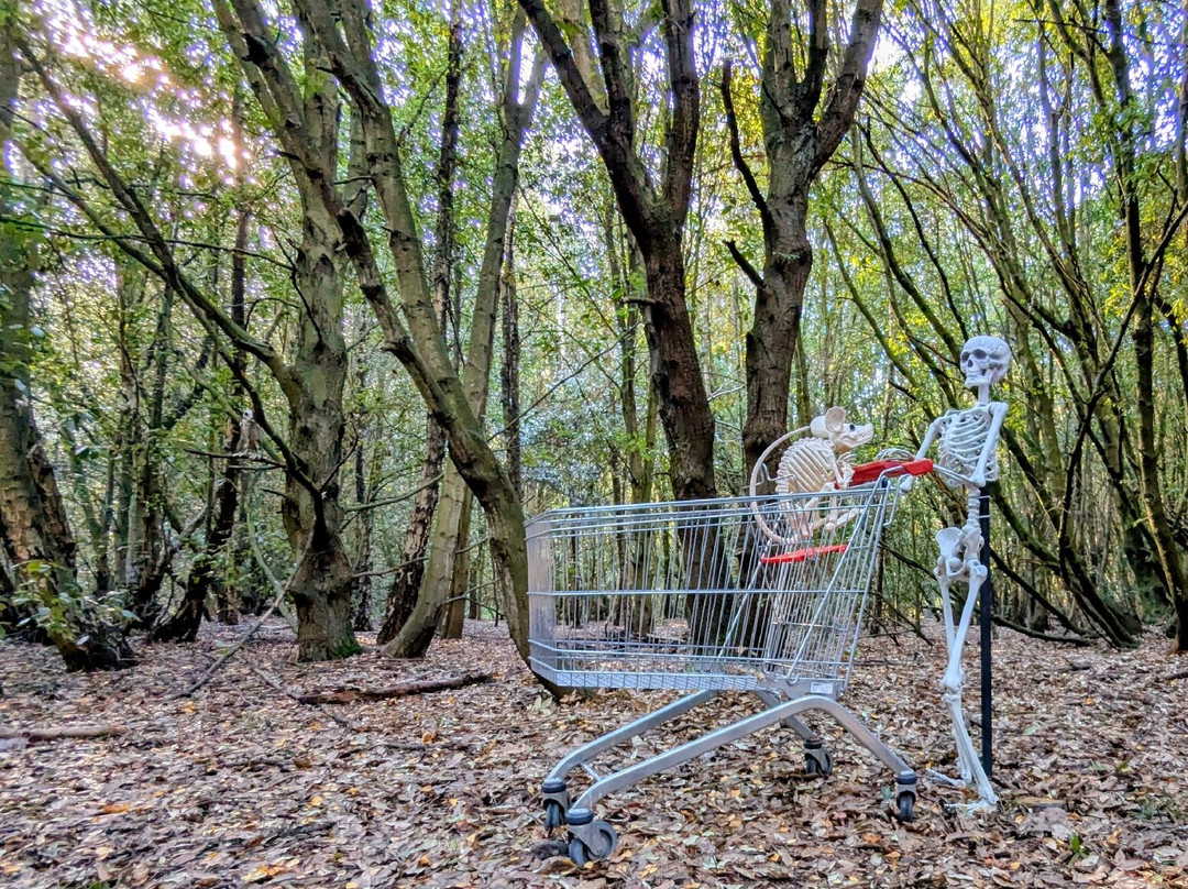 Betteshanger Park-迪奥必去景点