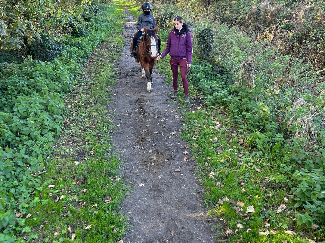 Bridlewood Riding Centre-Gwespyr必去景点