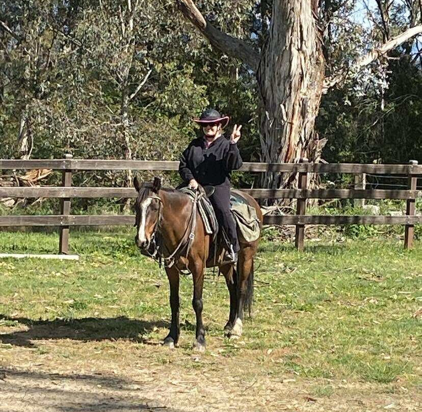 Bogong Horseback Adventures-Tawonga必去景点