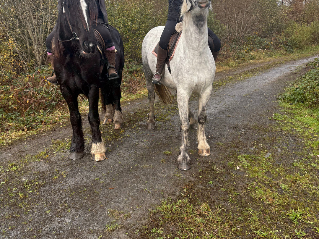 Mountain View Horse Riding Centre-Lisdoonvarna必去景点