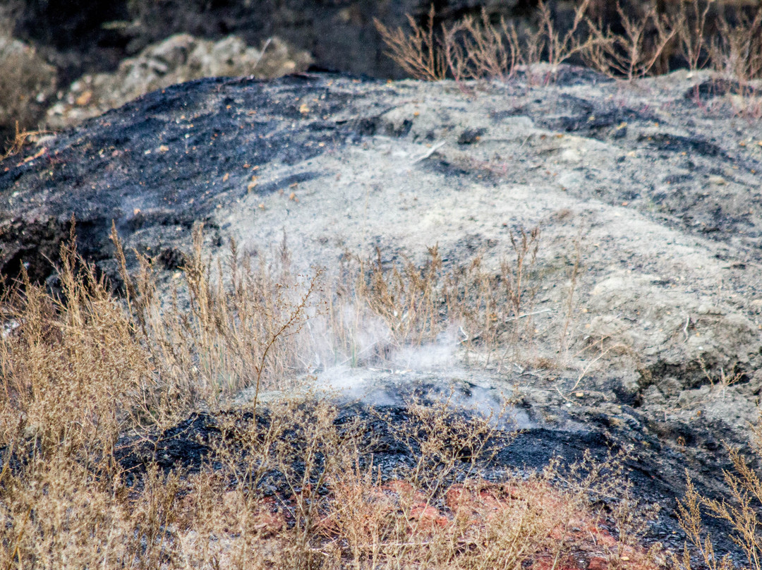 Theodore Roosevelt National Park-Medora必去景点