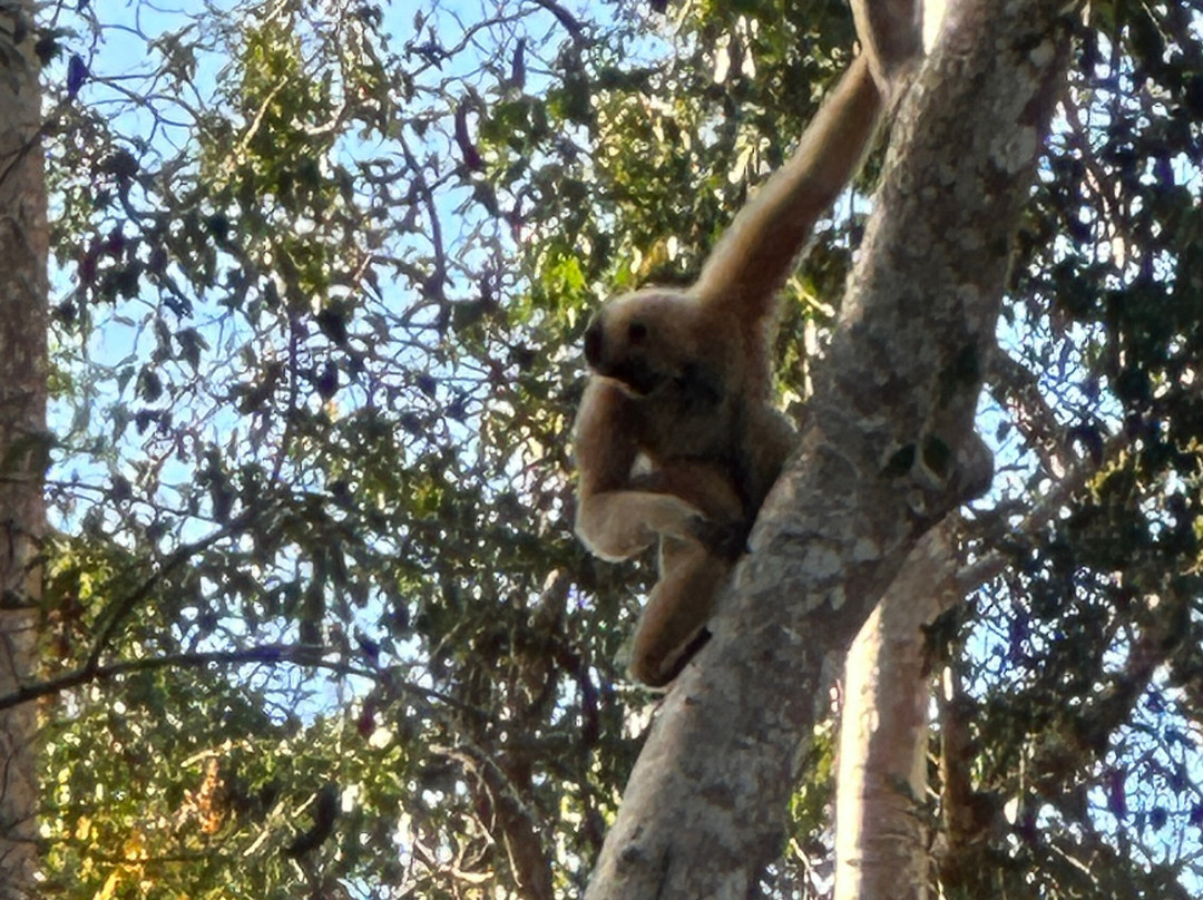 Vietnature Tour (cattien Wild Tour)-Tan Phu District必去景点