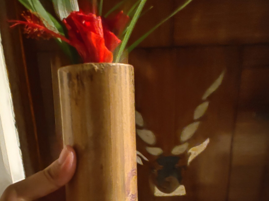 Blackbuck Safari Lodge主图