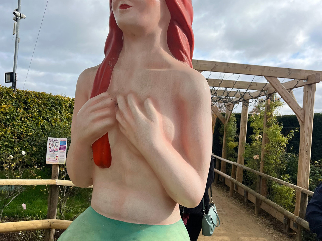 Fairytale Farm-奇平诺顿必去景点