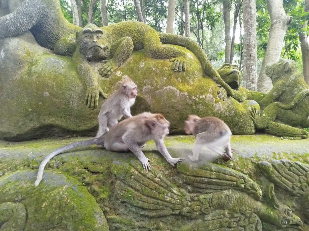 Bali Hire Driver-努沙杜瓦必去景点