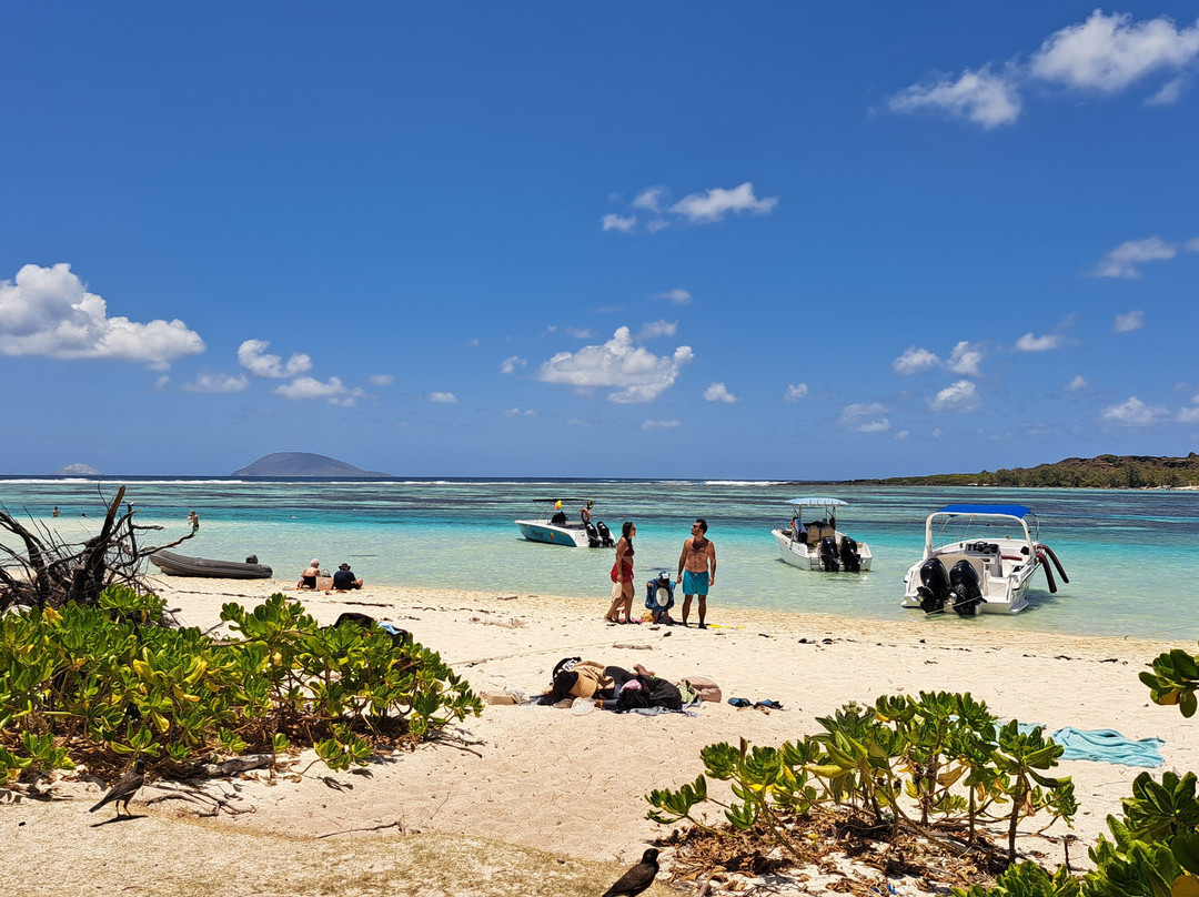 Blue Vibes-开普马欧呵必去景点