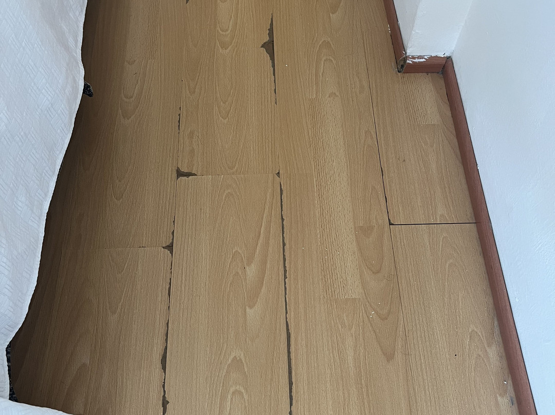 One Xalapa Las Animas主图