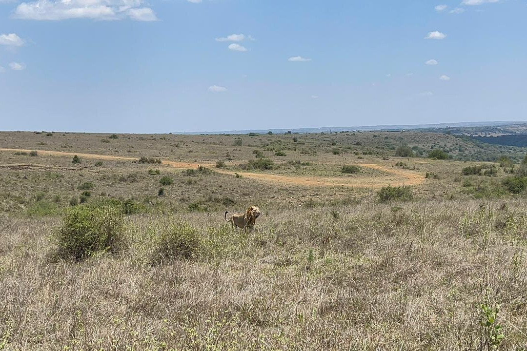 Kedi Trail-Voi必去景点