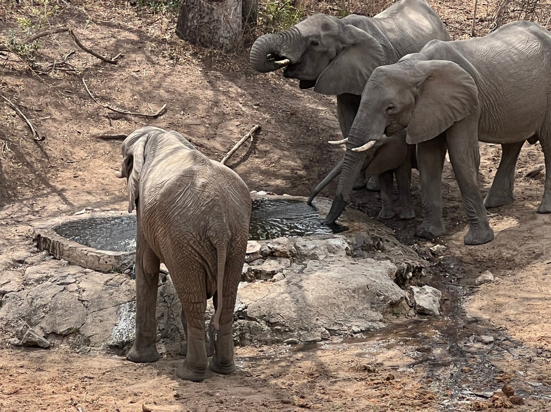 Shimungwe Lodge主图