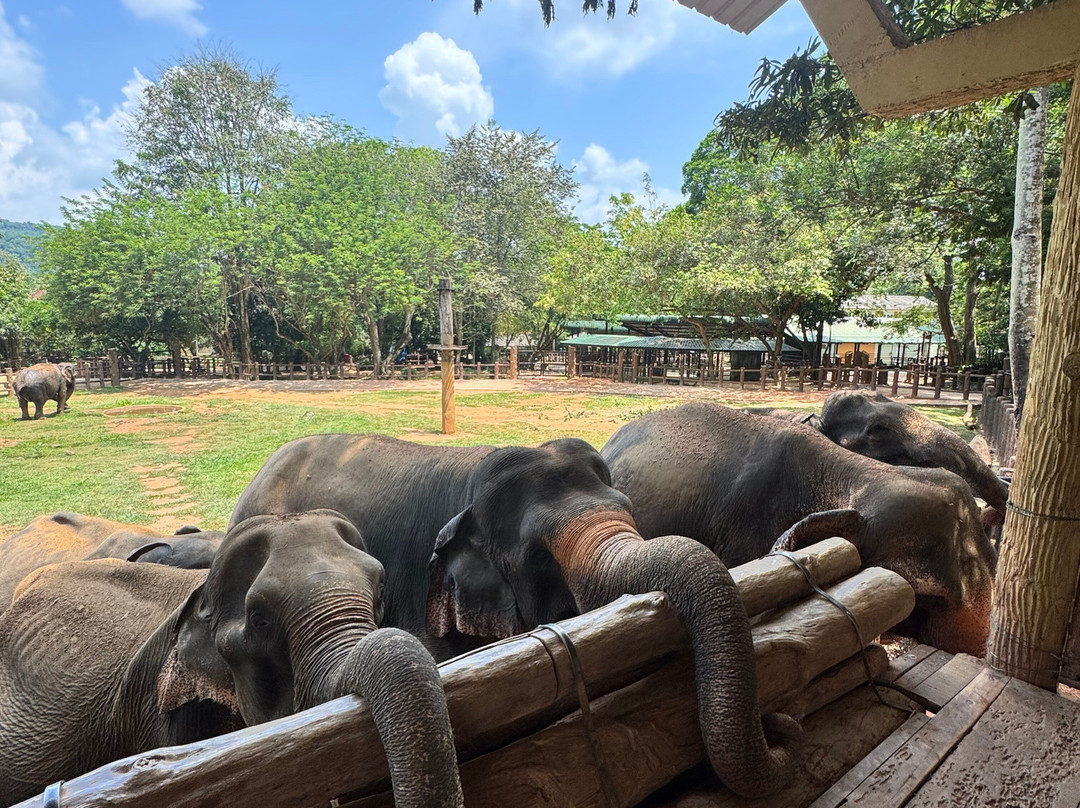 Happy Travels With Preena-Kadawata必去景点