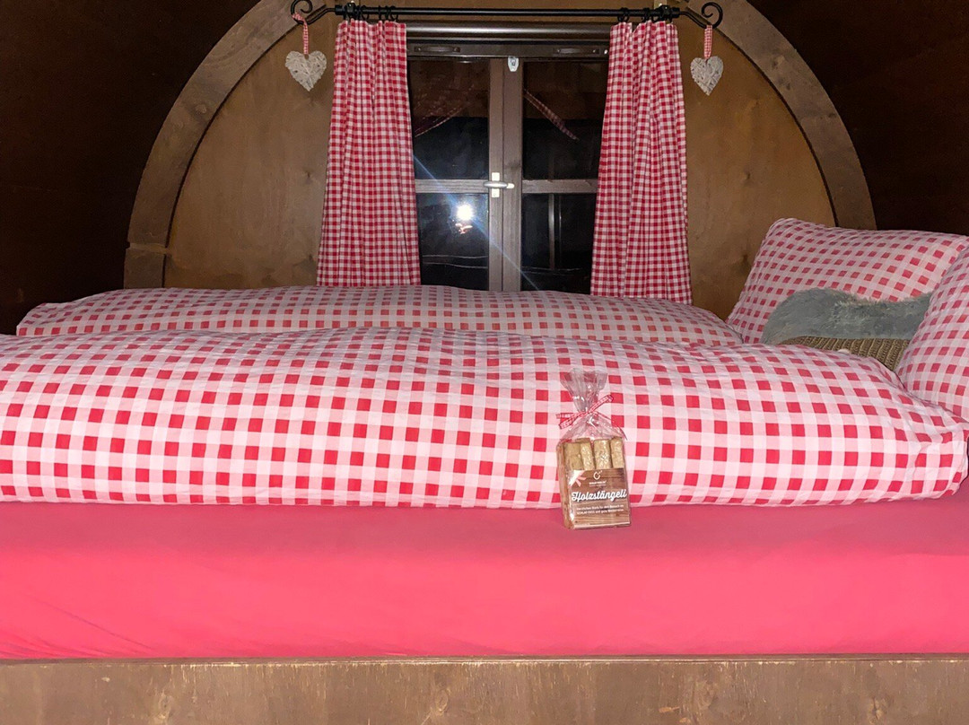 Schlaf-Fass Blauburgunder Jenins主图