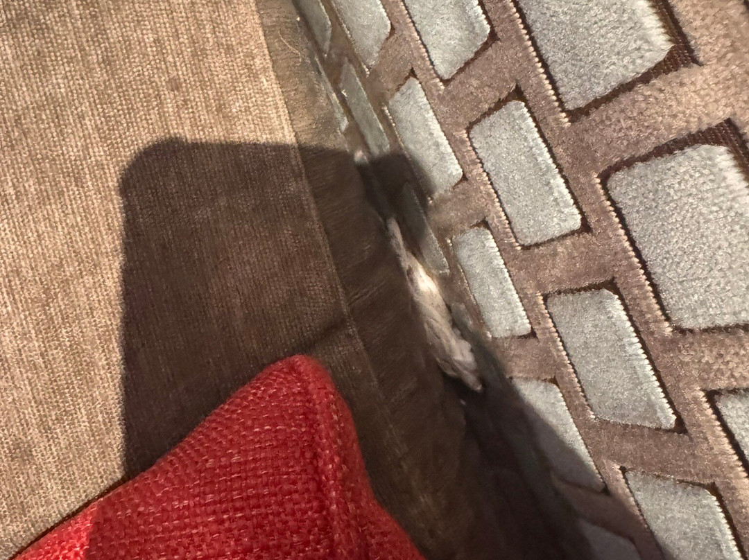 布里奇伍德庄园Q酒店主图