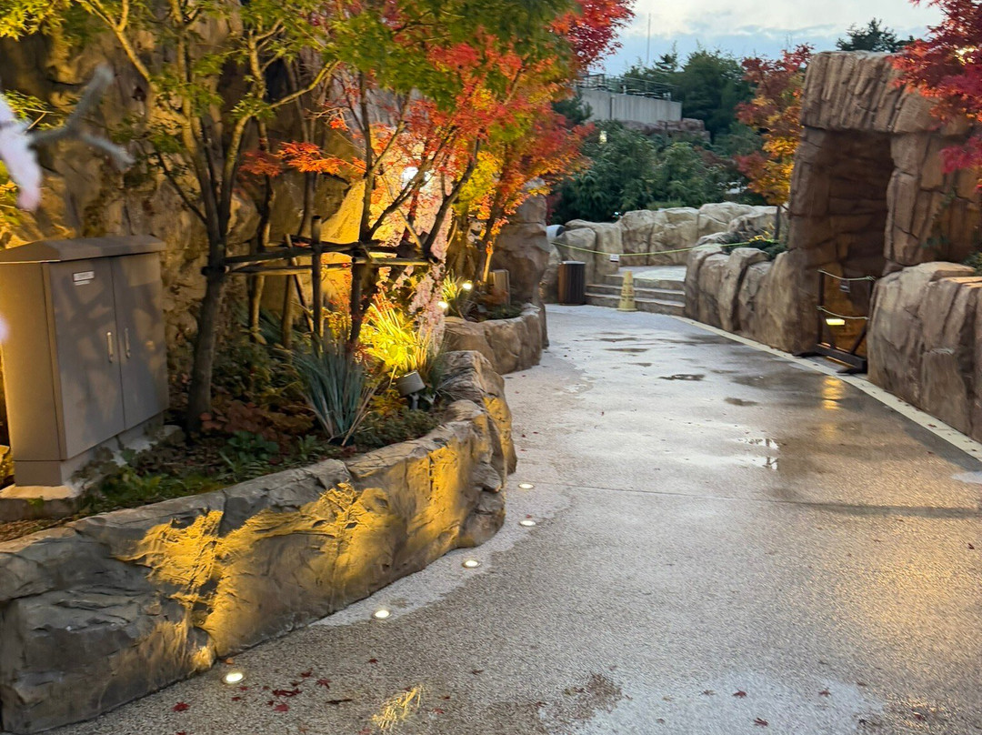 Seorak Waterpia-束草市必去景点