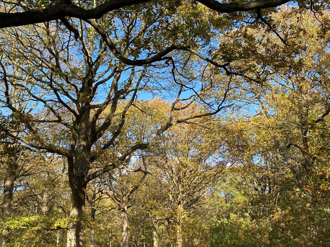 Balfour Winery-Staplehurst必去景点