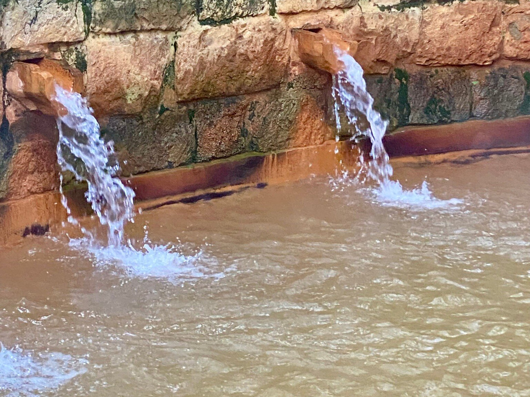 Parque Terra Nostra-富尔纳斯必去景点