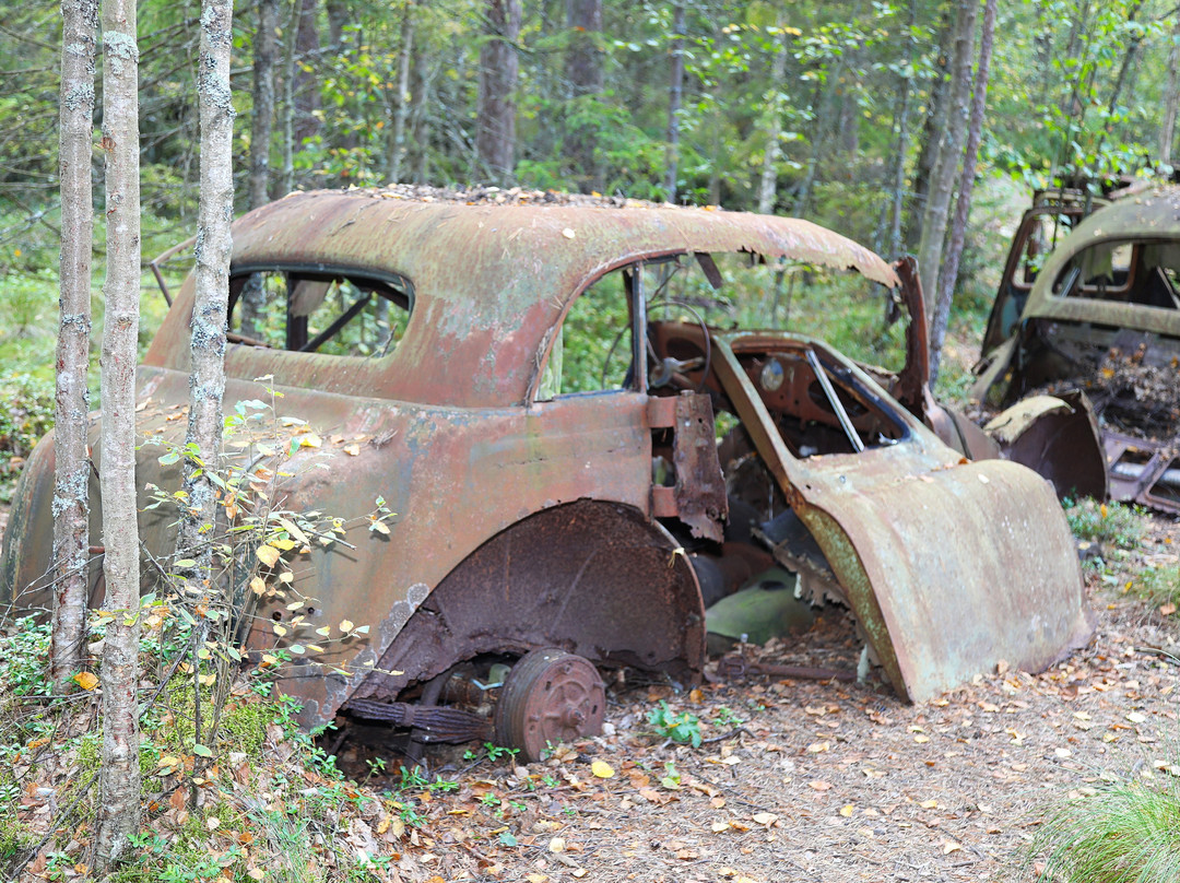 Kyrkö Mosse-Ryd必去景点