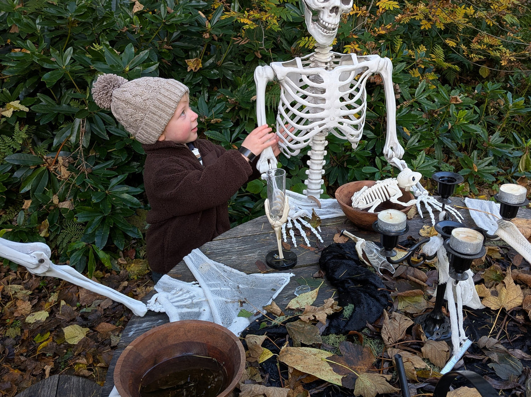 Montalto Estate-Ballynahinch必去景点