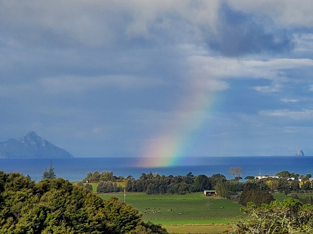 Waipu Thunder Domes