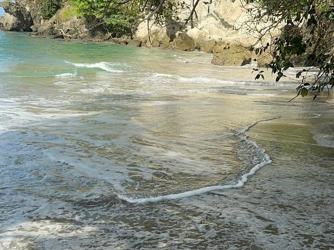 Nature Lovers Tours-Victoria必去景点