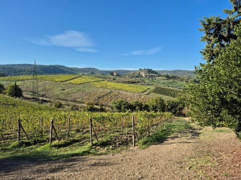 Corte Di Valle-官方