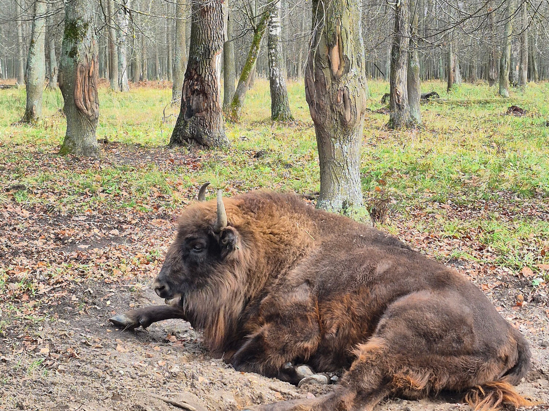 Prioksko-Terrasny Nature Reserve-Danki必去景点
