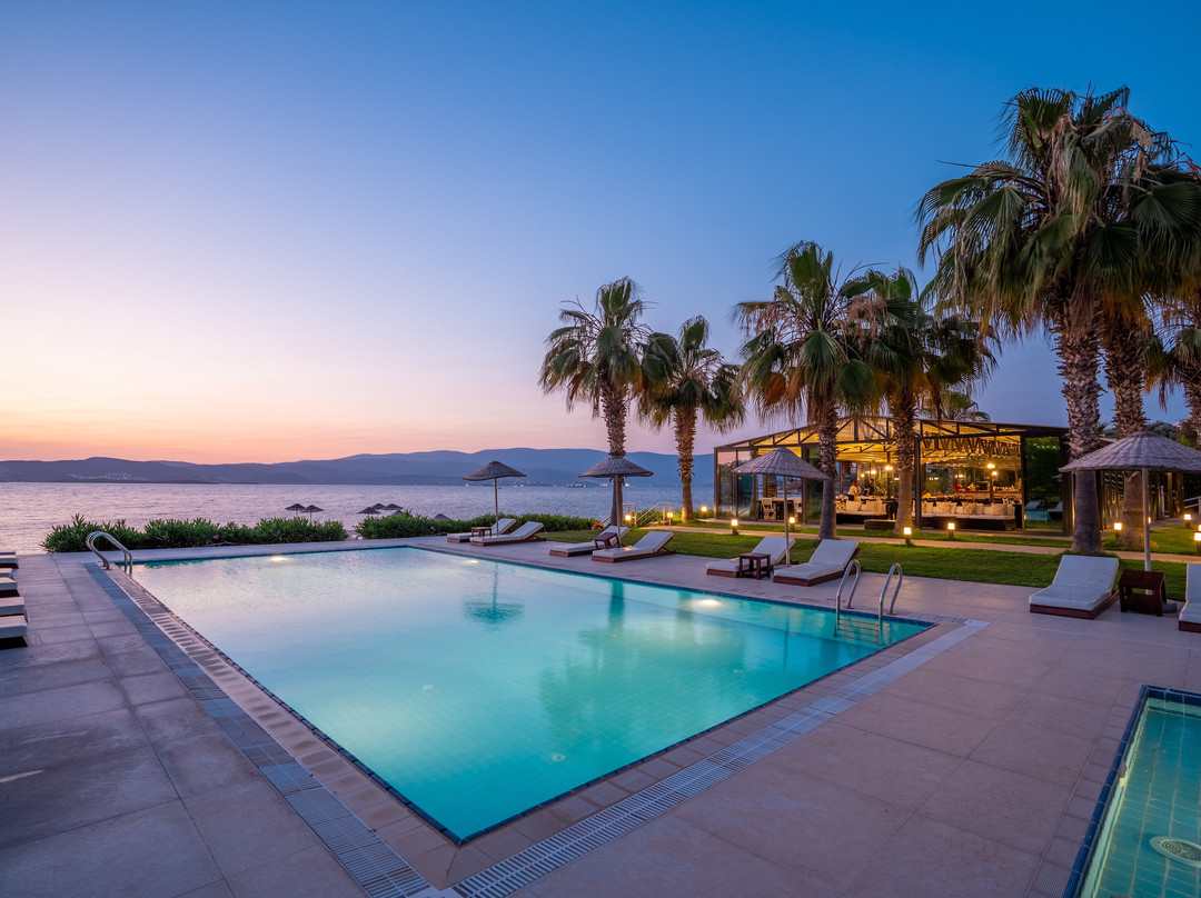 Med-inn Boutique Hotel主图