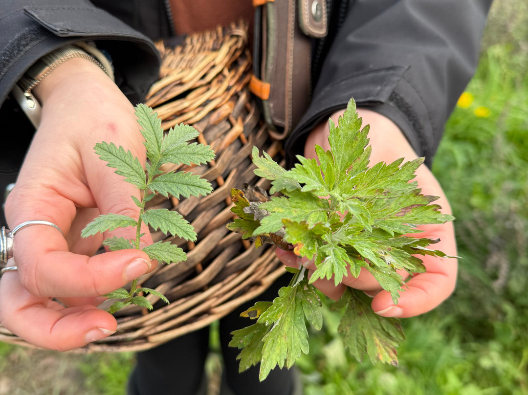 Terra Vitum-Midhurst必去景点