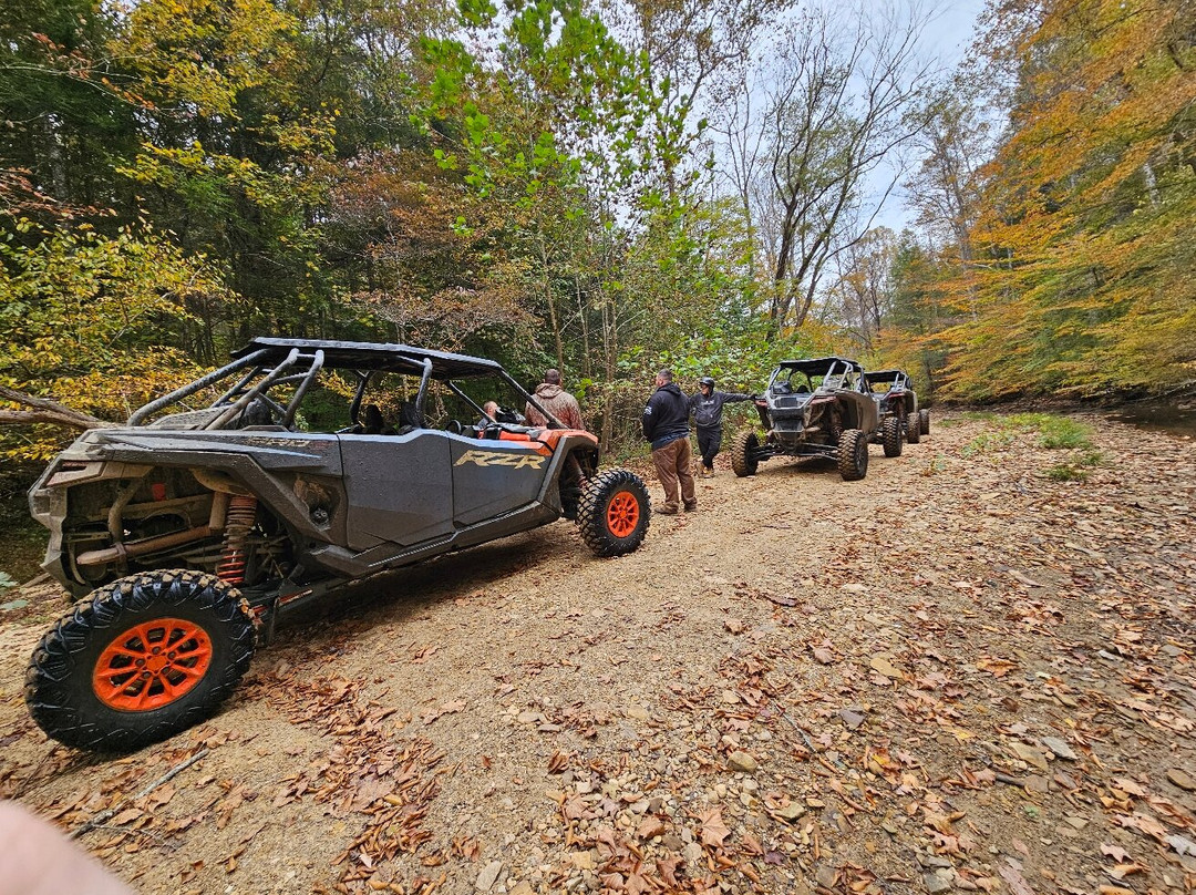 Out the Top Adventures-Campton必去景点