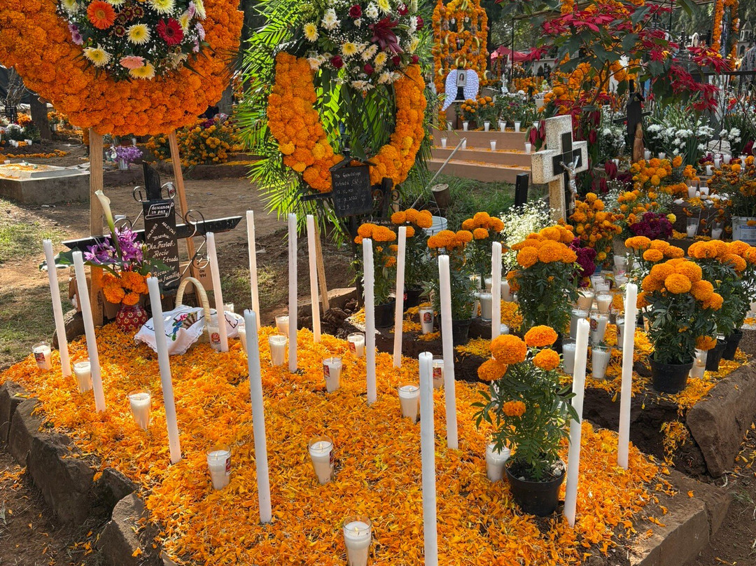 Experience Mex-ECO Tours-Melaque必去景点